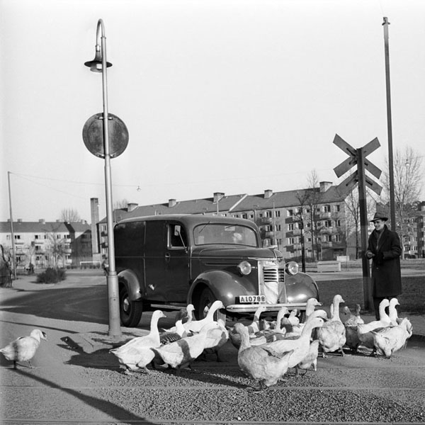 Sofielundsplan-gäss-1948