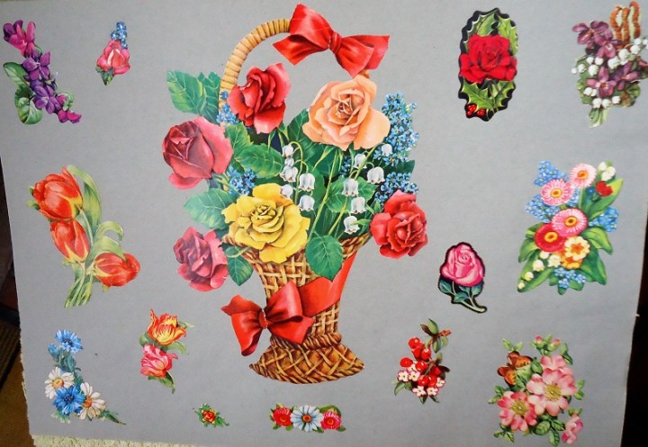 Anna-Bokmärkesblommor