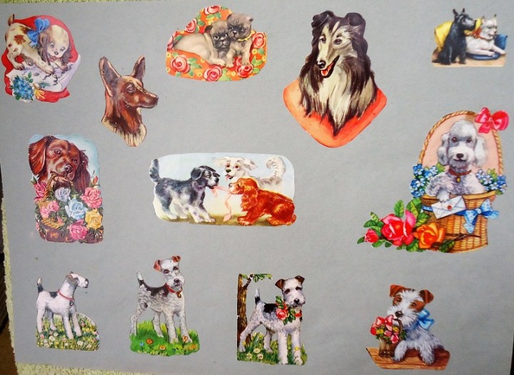 Anna-Bokmärkeshundar